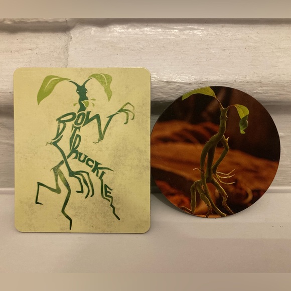 Fantastic Beasts and Where to Find Them/The Crimes of Grindelwald + 2 Magnets - Picture 7 of 7